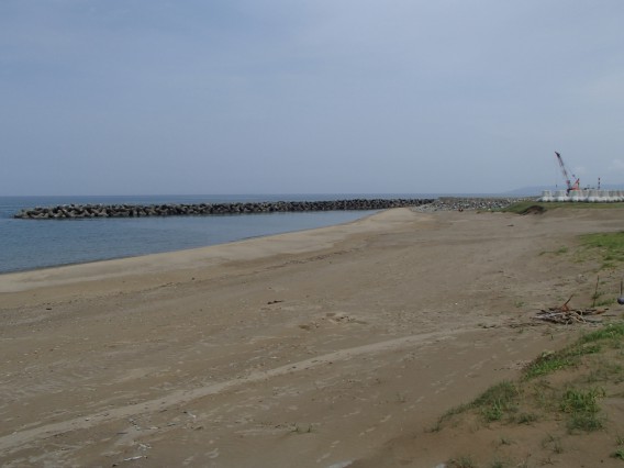 持石海岸の清掃活動2016